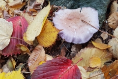 20171021_142812